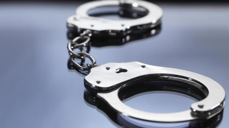 11 Arrested in LAPD Blitz Operation at Downtown Shopping Center