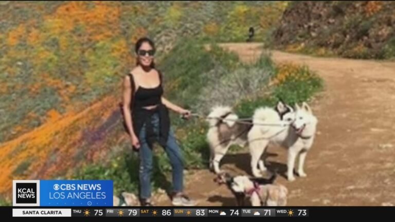 Los Angeles City Employee Savagely Mauled by Dog at Harbor Animal Shelter – Get the Details Now
